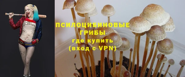 ALPHA PVP Алексеевка