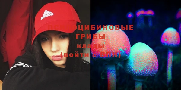 гидропоника Алзамай