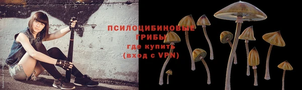 ALPHA PVP Алексеевка