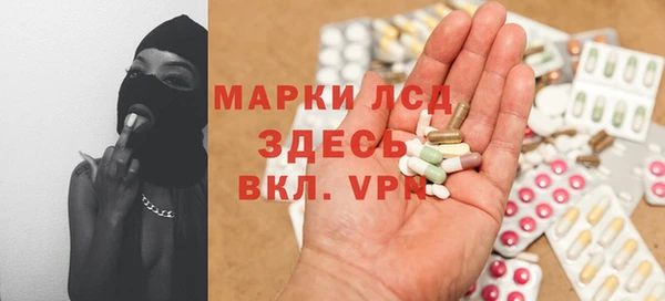 гидропоника Алзамай