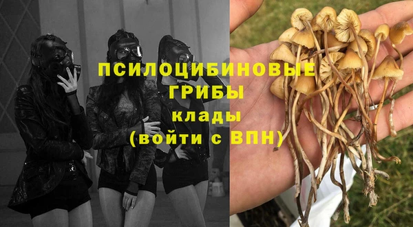 гидропоника Алзамай