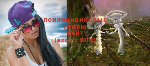 гидропоника Алзамай